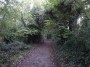 Northfield to Rubery 50
