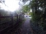 Northfield to Rubery 52