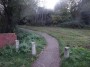 Northfield to Rubery 59