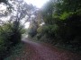 Northfield to Rubery 61