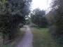 Northfield to Rubery 62