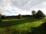 Northfield to Rubery 65