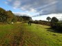 Northfield to Rubery 74