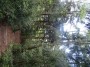 Rubery to Alvechurch 110