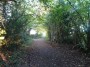 Rubery to Alvechurch 1 Rubery to Alvechurch 1