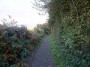 Rubery to Alvechurch 2 Rubery to Alvechurch 2