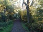 Rubery to Alvechurch 3