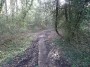 Rubery to Alvechurch 6 Rubery to Alvechurch 6