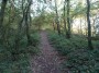 Rubery to Alvechurch 7 Rubery to Alvechurch 7