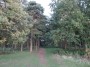 Rubery to Alvechurch 20 Rubery to Alvechurch 20