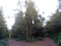 Rubery to Alvechurch 21