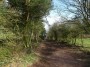 Rubery to Alvechurch 22 Rubery to Alvechurch 22