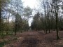 Rubery to Alvechurch 23