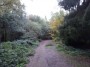 Rubery to Alvechurch 25 Rubery to Alvechurch 25