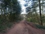 Rubery to Alvechurch 26 Rubery to Alvechurch 26
