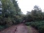 Rubery to Alvechurch 27 Rubery to Alvechurch 27