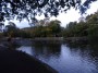 Rubery to Alvechurch 32