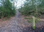 Rubery to Alvechurch 36 Rubery to Alvechurch 36