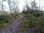 Rubery to Alvechurch 37