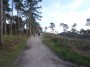 Rubery to Alvechurch 43