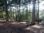 Rubery to Alvechurch 52