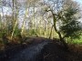 Rubery to Alvechurch 54