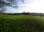 Rubery to Alvechurch 55