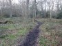 Rubery to Alvechurch 57