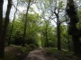 Rubery to Alvechurch 59