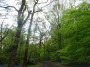 Rubery to Alvechurch 62 Rubery to Alvechurch 62