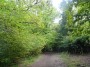 Rubery to Alvechurch 65 Rubery to Alvechurch 65