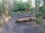 Rubery to Alvechurch 66