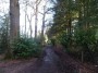 Rubery to Alvechurch 69 Rubery to Alvechurch 69