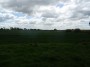 Rubery to Alvechurch 87
