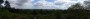 Rubery to Alvechurch 115