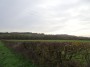 Alvechurch to Tanworth 6 Alvechurch to Tanworth 6