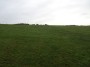 Alvechurch to Tanworth 10