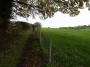 Alvechurch to Tanworth 15