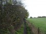 Alvechurch to Tanworth 19 Alvechurch to Tanworth 19