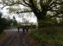 Alvechurch to Tanworth 21 Alvechurch to Tanworth 21