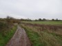 Alvechurch to Tanworth 28