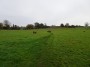 Alvechurch to Tanworth 29 Alvechurch to Tanworth 29