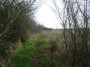 Alvechurch to Tanworth 31