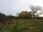 Alvechurch to Tanworth 33