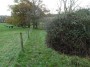 Alvechurch to Tanworth 38
