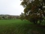 Alvechurch to Tanworth 39