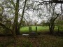 Alvechurch to Tanworth 44