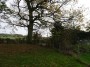 Alvechurch to Tanworth 47