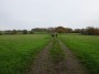 Alvechurch to Tanworth 51