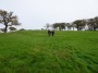 Alvechurch to Tanworth 58 Alvechurch to Tanworth 58